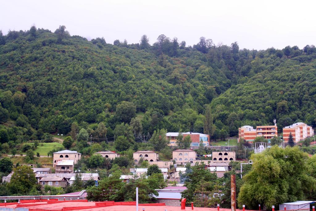 Mariam Apartment Dilijan Exterior foto